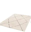 portada alfombra.webp