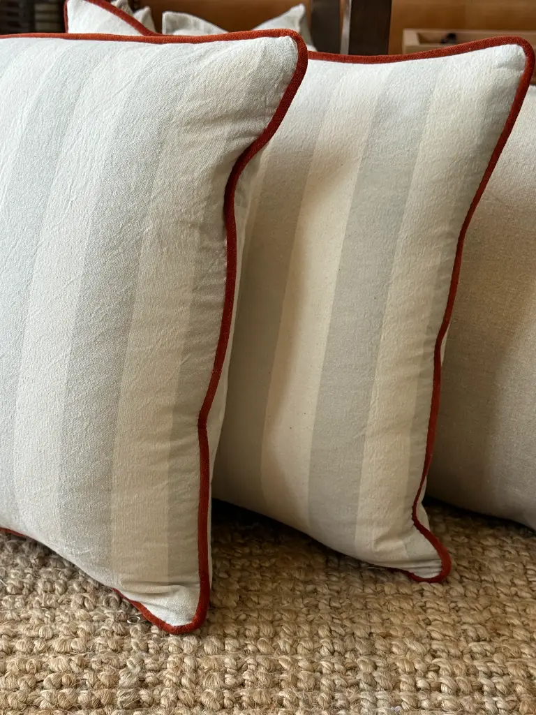 Almohadón tusor rayas & Vivo Velvet