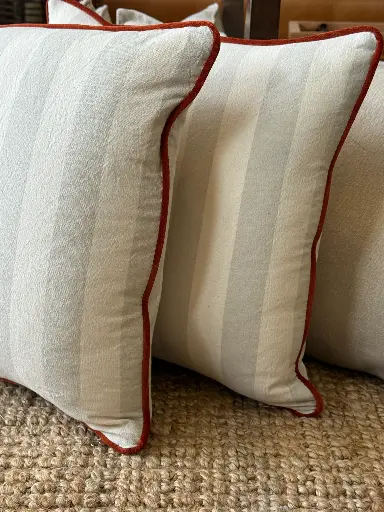 Almohadón tusor rayas & Vivo Velvet